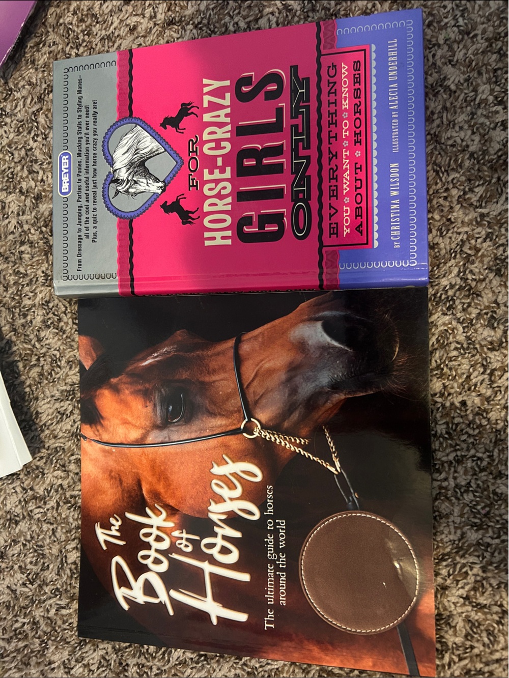 Horse girls book set.